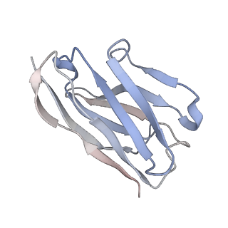 16270_8bvs_B_v1-2
Cryo-EM structure of rat SLC22A6 bound to tenofovir