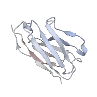 16271_8bvt_B_v1-2
Cryo-EM structure of rat SLC22A6 bound to probenecid