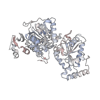 16274_8bvw_0_v1-3
RNA polymerase II pre-initiation complex with the distal +1 nucleosome (PIC-Nuc18W)