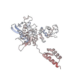 16274_8bvw_3_v1-3
RNA polymerase II pre-initiation complex with the distal +1 nucleosome (PIC-Nuc18W)