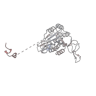 16274_8bvw_4_v1-3
RNA polymerase II pre-initiation complex with the distal +1 nucleosome (PIC-Nuc18W)