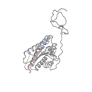 16274_8bvw_5_v1-3
RNA polymerase II pre-initiation complex with the distal +1 nucleosome (PIC-Nuc18W)