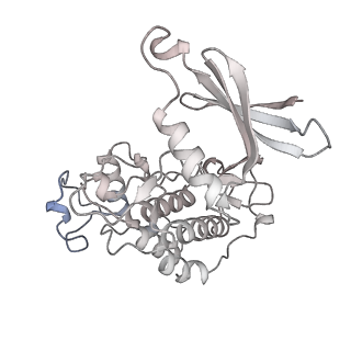 16274_8bvw_8_v1-3
RNA polymerase II pre-initiation complex with the distal +1 nucleosome (PIC-Nuc18W)