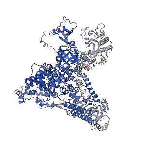 16274_8bvw_A_v1-3
RNA polymerase II pre-initiation complex with the distal +1 nucleosome (PIC-Nuc18W)