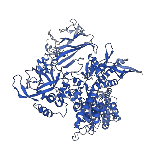 16274_8bvw_B_v1-3
RNA polymerase II pre-initiation complex with the distal +1 nucleosome (PIC-Nuc18W)