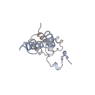 16274_8bvw_D_v1-3
RNA polymerase II pre-initiation complex with the distal +1 nucleosome (PIC-Nuc18W)