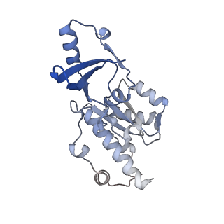 16274_8bvw_E_v1-3
RNA polymerase II pre-initiation complex with the distal +1 nucleosome (PIC-Nuc18W)