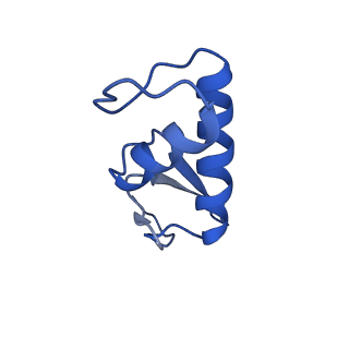 16274_8bvw_F_v1-3
RNA polymerase II pre-initiation complex with the distal +1 nucleosome (PIC-Nuc18W)