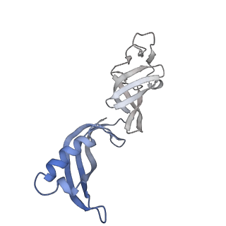16274_8bvw_G_v1-3
RNA polymerase II pre-initiation complex with the distal +1 nucleosome (PIC-Nuc18W)