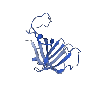 16274_8bvw_H_v1-3
RNA polymerase II pre-initiation complex with the distal +1 nucleosome (PIC-Nuc18W)