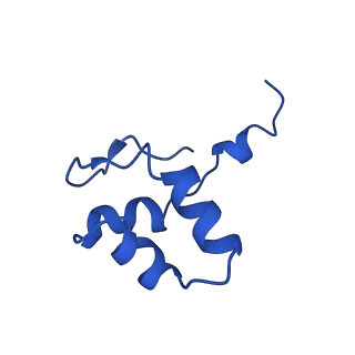 16274_8bvw_J_v1-3
RNA polymerase II pre-initiation complex with the distal +1 nucleosome (PIC-Nuc18W)