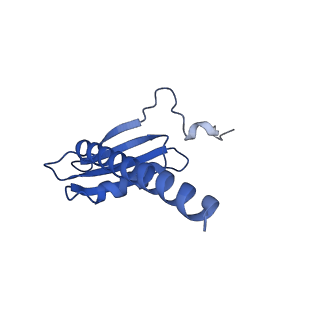 16274_8bvw_K_v1-3
RNA polymerase II pre-initiation complex with the distal +1 nucleosome (PIC-Nuc18W)