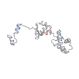 16274_8bvw_X_v1-3
RNA polymerase II pre-initiation complex with the distal +1 nucleosome (PIC-Nuc18W)