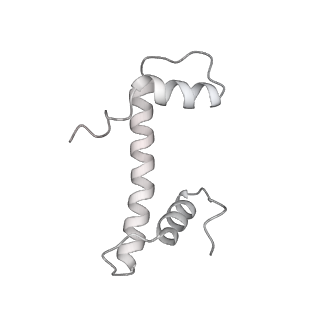 16274_8bvw_f_v1-3
RNA polymerase II pre-initiation complex with the distal +1 nucleosome (PIC-Nuc18W)