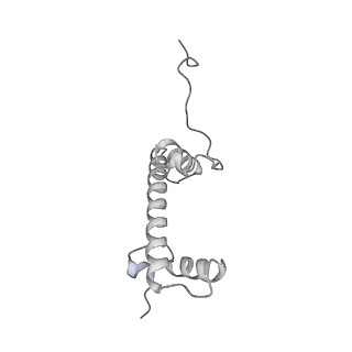 16274_8bvw_g_v1-3
RNA polymerase II pre-initiation complex with the distal +1 nucleosome (PIC-Nuc18W)