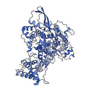 30209_7bv1_A_v1-1
Cryo-EM structure of the apo nsp12-nsp7-nsp8 complex
