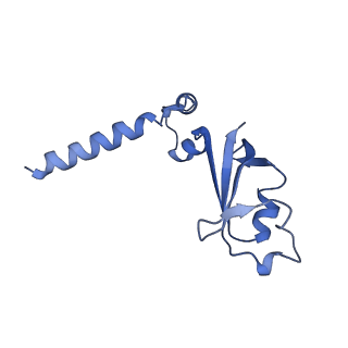 30209_7bv1_B_v2-4
Cryo-EM structure of the apo nsp12-nsp7-nsp8 complex