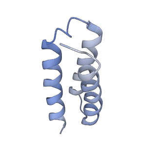 30209_7bv1_C_v1-1
Cryo-EM structure of the apo nsp12-nsp7-nsp8 complex
