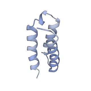 30209_7bv1_C_v2-3
Cryo-EM structure of the apo nsp12-nsp7-nsp8 complex