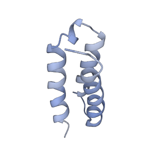 30209_7bv1_C_v2-4
Cryo-EM structure of the apo nsp12-nsp7-nsp8 complex