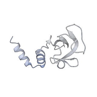 30209_7bv1_D_v2-3
Cryo-EM structure of the apo nsp12-nsp7-nsp8 complex