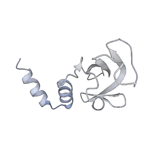 30209_7bv1_D_v2-4
Cryo-EM structure of the apo nsp12-nsp7-nsp8 complex