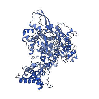 30210_7bv2_A_v3-5
The nsp12-nsp7-nsp8 complex bound to the template-primer RNA and triphosphate form of Remdesivir(RTP)