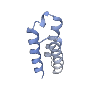 30210_7bv2_C_v3-5
The nsp12-nsp7-nsp8 complex bound to the template-primer RNA and triphosphate form of Remdesivir(RTP)