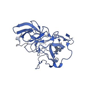 30215_7bv8_C_v1-2
Mature 50S ribosomal subunit from RrmJ knock out E.coli strain