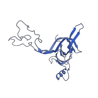 30215_7bv8_D_v1-2
Mature 50S ribosomal subunit from RrmJ knock out E.coli strain