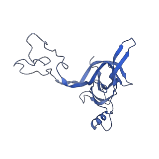 30215_7bv8_D_v1-3
Mature 50S ribosomal subunit from RrmJ knock out E.coli strain