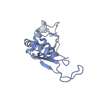 30215_7bv8_F_v1-2
Mature 50S ribosomal subunit from RrmJ knock out E.coli strain