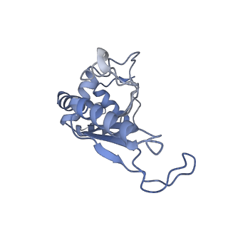 30215_7bv8_F_v1-3
Mature 50S ribosomal subunit from RrmJ knock out E.coli strain