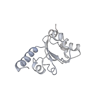 30215_7bv8_I_v1-2
Mature 50S ribosomal subunit from RrmJ knock out E.coli strain