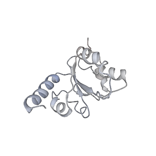 30215_7bv8_I_v1-3
Mature 50S ribosomal subunit from RrmJ knock out E.coli strain