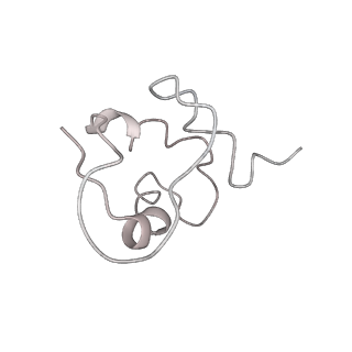 30215_7bv8_J_v1-2
Mature 50S ribosomal subunit from RrmJ knock out E.coli strain