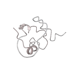 30215_7bv8_J_v1-3
Mature 50S ribosomal subunit from RrmJ knock out E.coli strain