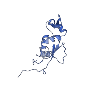 30215_7bv8_K_v1-3
Mature 50S ribosomal subunit from RrmJ knock out E.coli strain