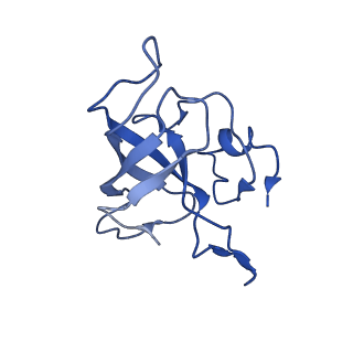 30215_7bv8_L_v1-2
Mature 50S ribosomal subunit from RrmJ knock out E.coli strain