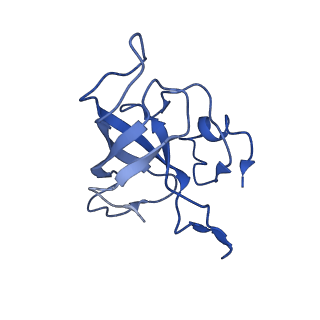 30215_7bv8_L_v1-3
Mature 50S ribosomal subunit from RrmJ knock out E.coli strain