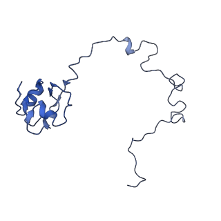30215_7bv8_M_v1-2
Mature 50S ribosomal subunit from RrmJ knock out E.coli strain