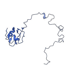 30215_7bv8_M_v1-3
Mature 50S ribosomal subunit from RrmJ knock out E.coli strain