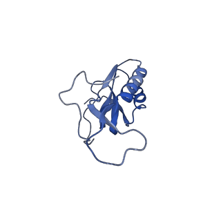 30215_7bv8_N_v1-2
Mature 50S ribosomal subunit from RrmJ knock out E.coli strain