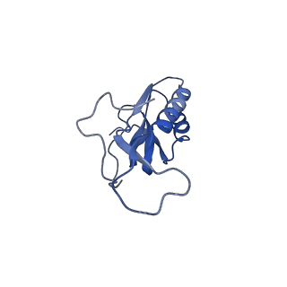 30215_7bv8_N_v1-3
Mature 50S ribosomal subunit from RrmJ knock out E.coli strain