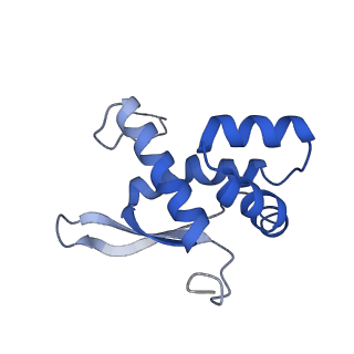 30215_7bv8_O_v1-2
Mature 50S ribosomal subunit from RrmJ knock out E.coli strain
