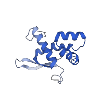 30215_7bv8_O_v1-3
Mature 50S ribosomal subunit from RrmJ knock out E.coli strain