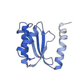 30215_7bv8_P_v1-2
Mature 50S ribosomal subunit from RrmJ knock out E.coli strain