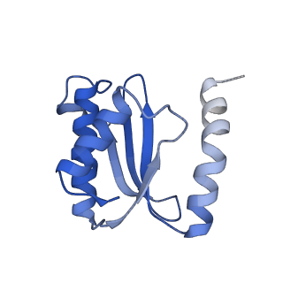 30215_7bv8_P_v1-3
Mature 50S ribosomal subunit from RrmJ knock out E.coli strain