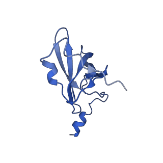 30215_7bv8_Q_v1-2
Mature 50S ribosomal subunit from RrmJ knock out E.coli strain