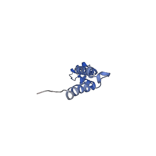 30215_7bv8_R_v1-2
Mature 50S ribosomal subunit from RrmJ knock out E.coli strain